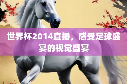 世界杯2014直播，感受足球盛宴的视觉盛宴