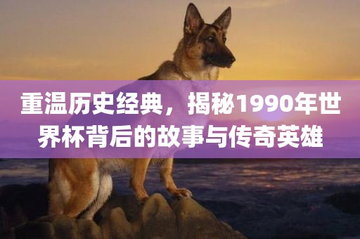 重温历史经典，揭秘1990年世界杯背后的故事与传奇英雄