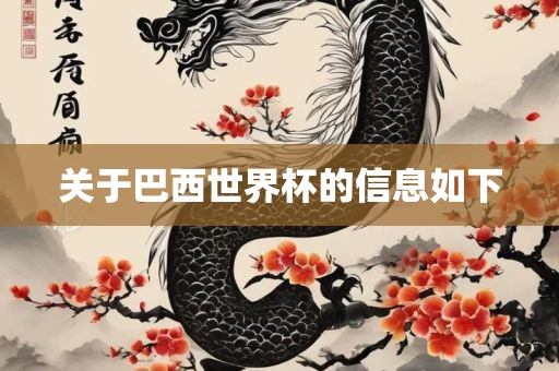 关于巴西世界杯的信息如下