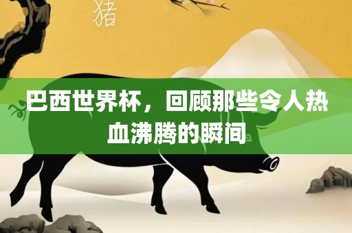 巴西世界杯，回顾那些令人热血沸腾的瞬间