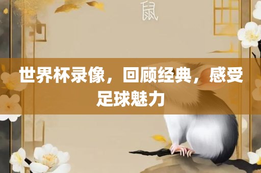 世界杯录像，回顾经典，感受足球魅力