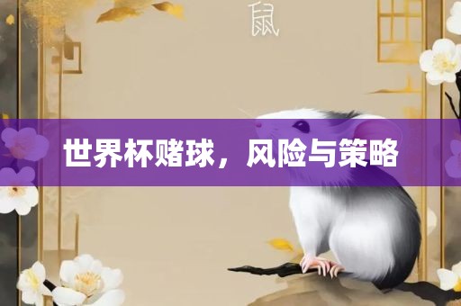 世界杯赌球，风险与策略