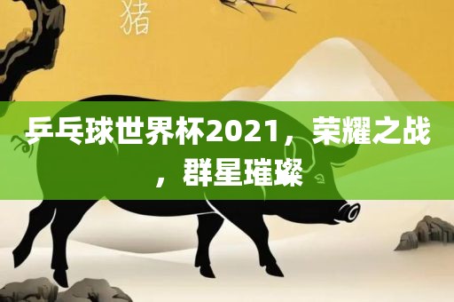 乒乓球世界杯2021，荣耀之战，群星璀璨