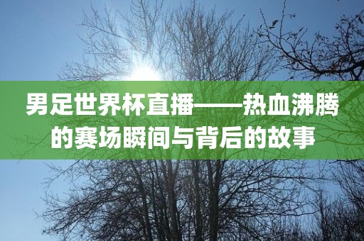 男足世界杯直播——热血沸腾的赛场瞬间与背后的故事