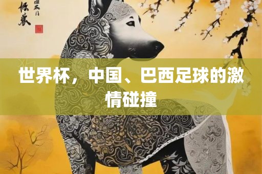 世界杯，中国、巴西足球的激情碰撞