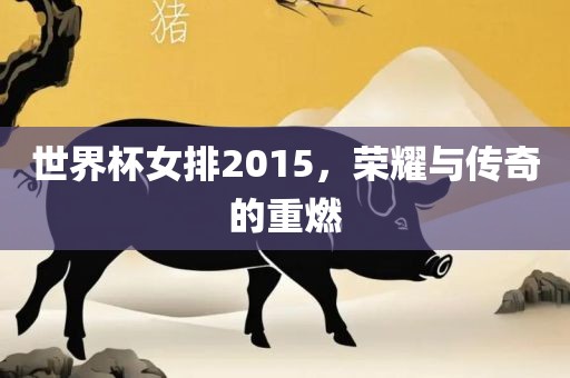 世界杯女排2015，荣耀与传奇的重燃