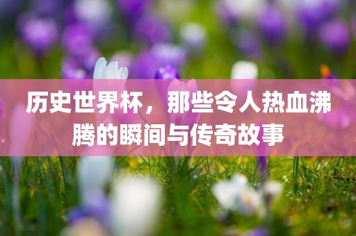 历史世界杯，那些令人热血沸腾的瞬间与传奇故事