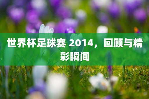 世界杯足球赛 2014，回顾与精彩瞬间