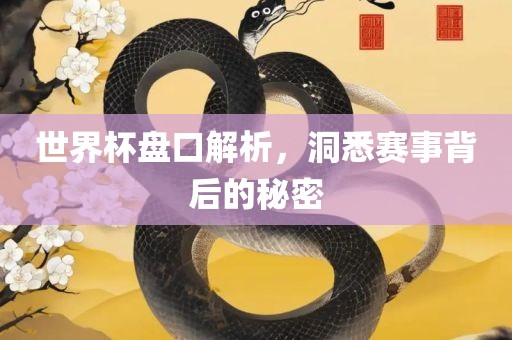 世界杯盘口解析，洞悉赛事背后的秘密