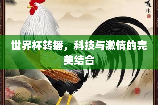 世界杯转播，科技与激情的完美结合