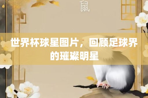 世界杯球星图片，回顾足球界的璀璨明星