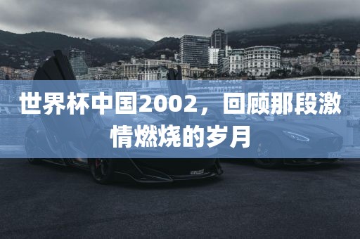 世界杯中国2002，回顾那段激情燃烧的岁月