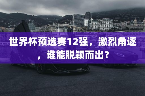 世界杯预选赛12强，激烈角逐，谁能脱颖而出？