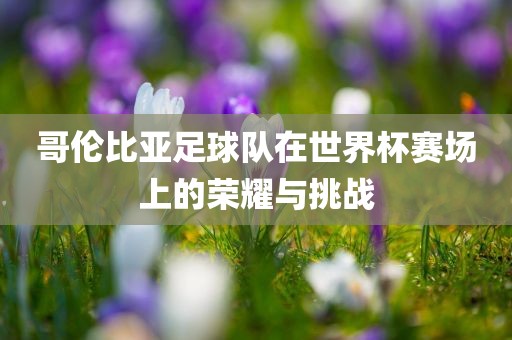 哥伦比亚足球队在世界杯赛场上的荣耀与挑战