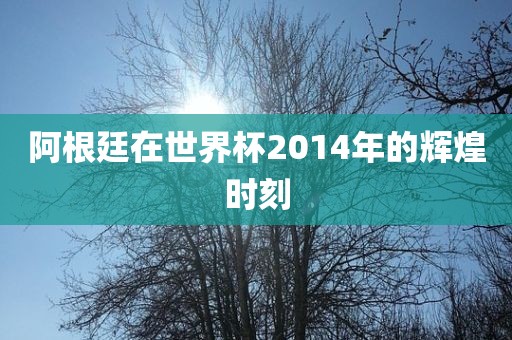 阿根廷在世界杯2014年的辉煌时刻