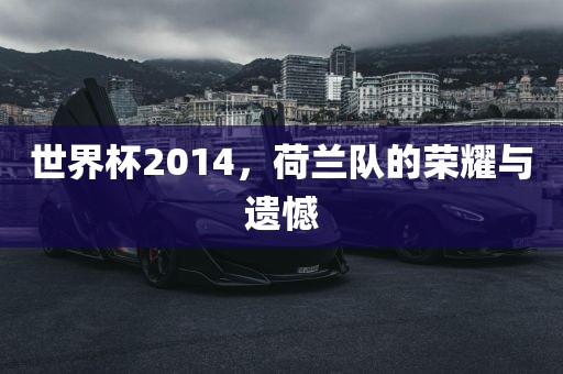 世界杯2014，荷兰队的荣耀与遗憾