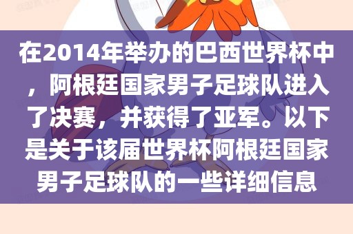 在2014年举办的巴西世界杯中，阿根廷国家男子足球队进入了决赛，并获得了亚军。以下是关于该届世界杯阿根廷国家男子足球队的一些详细信息