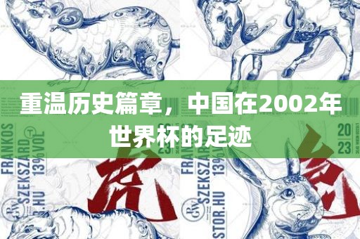 重温历史篇章，中国在2002年世界杯的足迹
