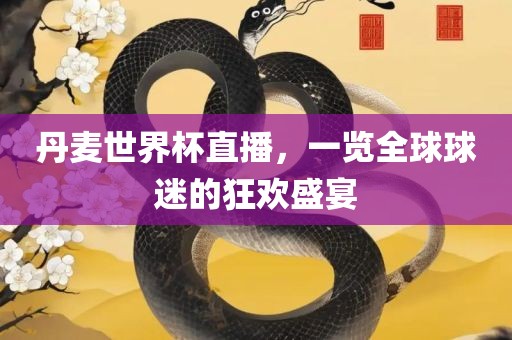 丹麦世界杯直播，一览全球球迷的狂欢盛宴
