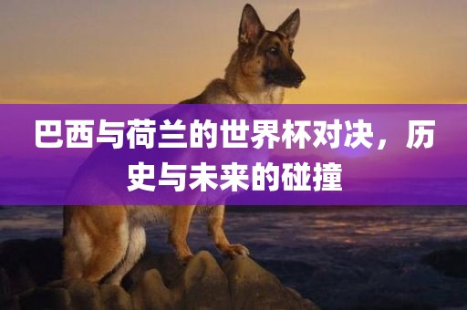 巴西与荷兰的世界杯对决，历史与未来的碰撞