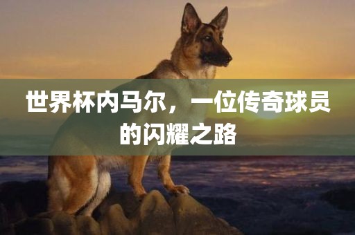 世界杯内马尔，一位传奇球员的闪耀之路