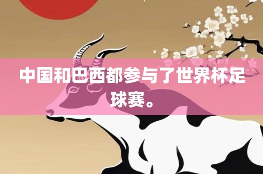 中国和巴西都参与了世界杯足球赛。