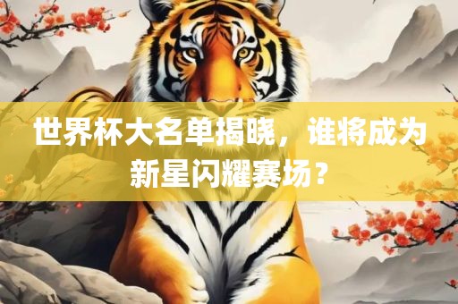 世界杯大名单揭晓，谁将成为新星闪耀赛场？