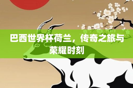 巴西世界杯荷兰，传奇之旅与荣耀时刻