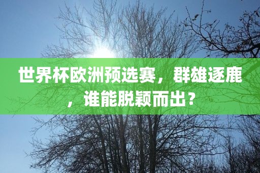 世界杯欧洲预选赛，群雄逐鹿，谁能脱颖而出？