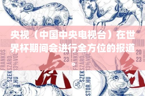 央视（中国中央电视台）在世界杯期间会进行全方位的报道。