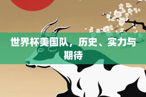 世界杯美国队，历史、实力与期待