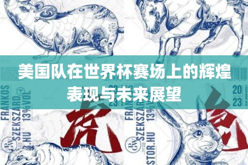美国队在世界杯赛场上的辉煌表现与未来展望