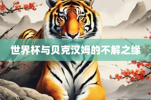 世界杯与贝克汉姆的不解之缘