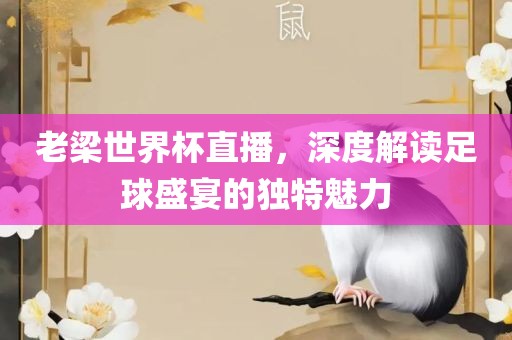 老梁世界杯直播，深度解读足球盛宴的独特魅力