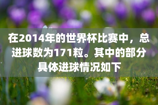 在2014年的世界杯比赛中，总进球数为171粒。其中的部分具体进球情况如下