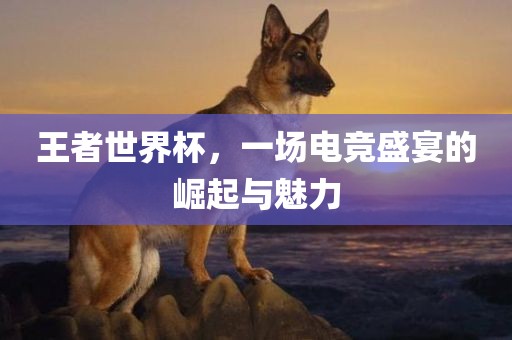 王者世界杯，一场电竞盛宴的崛起与魅力