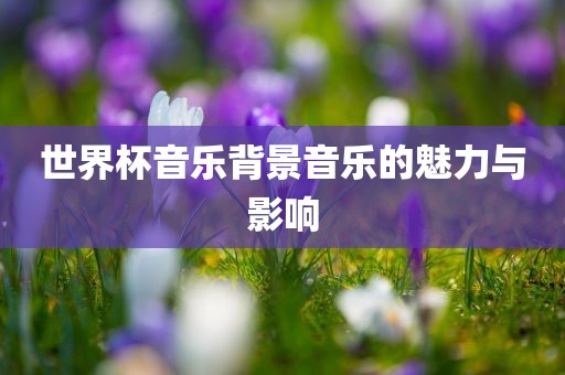 世界杯音乐背景音乐的魅力与影响