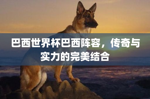 巴西世界杯巴西阵容，传奇与实力的完美结合