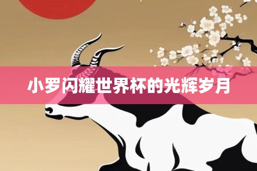 小罗闪耀世界杯的光辉岁月