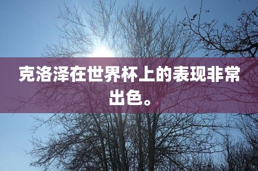 克洛泽在世界杯上的表现非常出色。