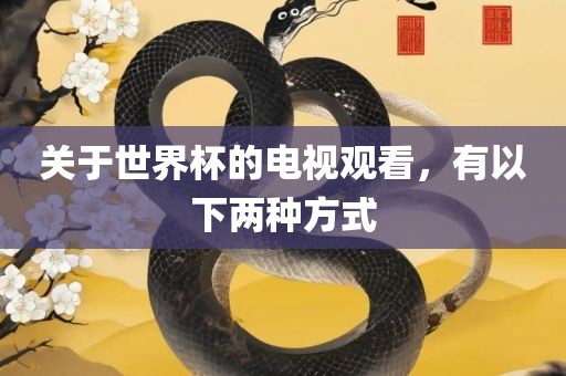 关于世界杯的电视观看，有以下两种方式