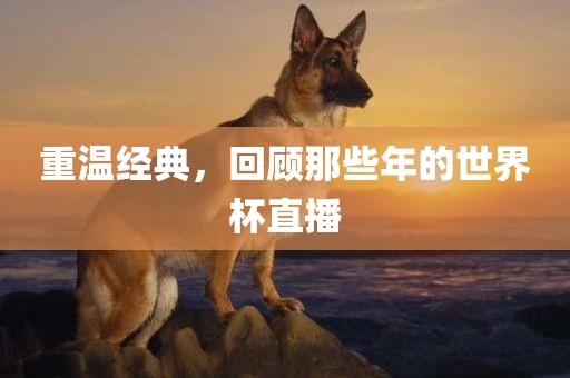 重温经典，回顾那些年的世界杯直播