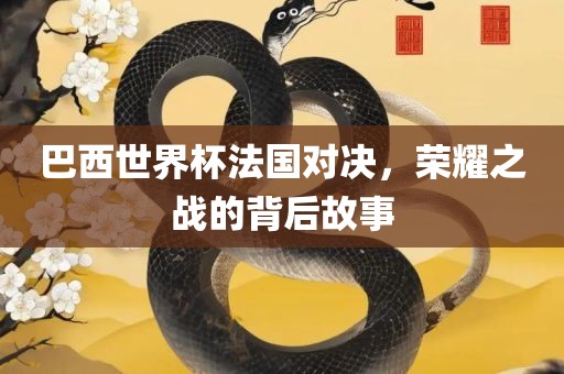 巴西世界杯法国对决，荣耀之战的背后故事