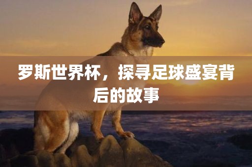 罗斯世界杯，探寻足球盛宴背后的故事