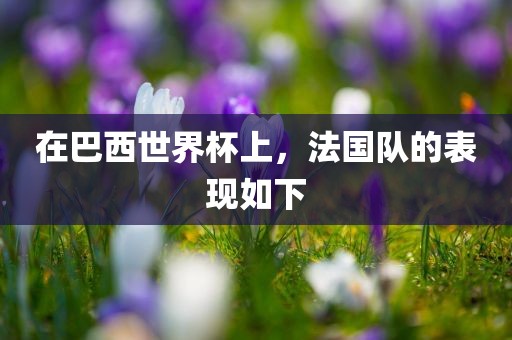 在巴西世界杯上，法国队的表现如下