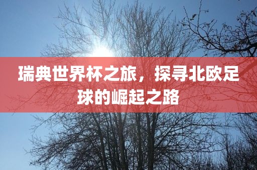 瑞典世界杯之旅，探寻北欧足球的崛起之路