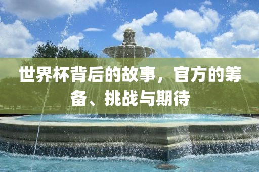 世界杯背后的故事，官方的筹备、挑战与期待