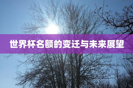 世界杯名额的变迁与未来展望