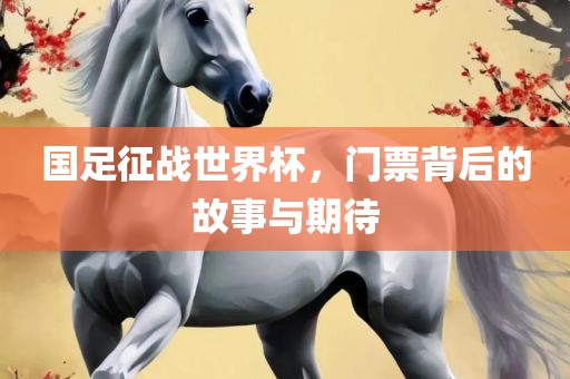 国足征战世界杯，门票背后的故事与期待