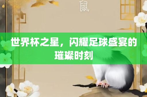 世界杯之星，闪耀足球盛宴的璀璨时刻